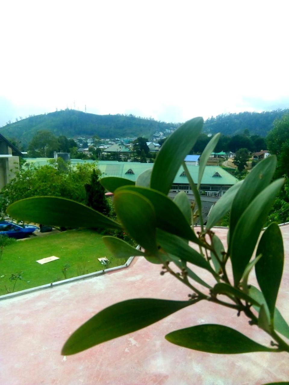 Nuwara Eliya Mountain View Homestay Exterior photo
