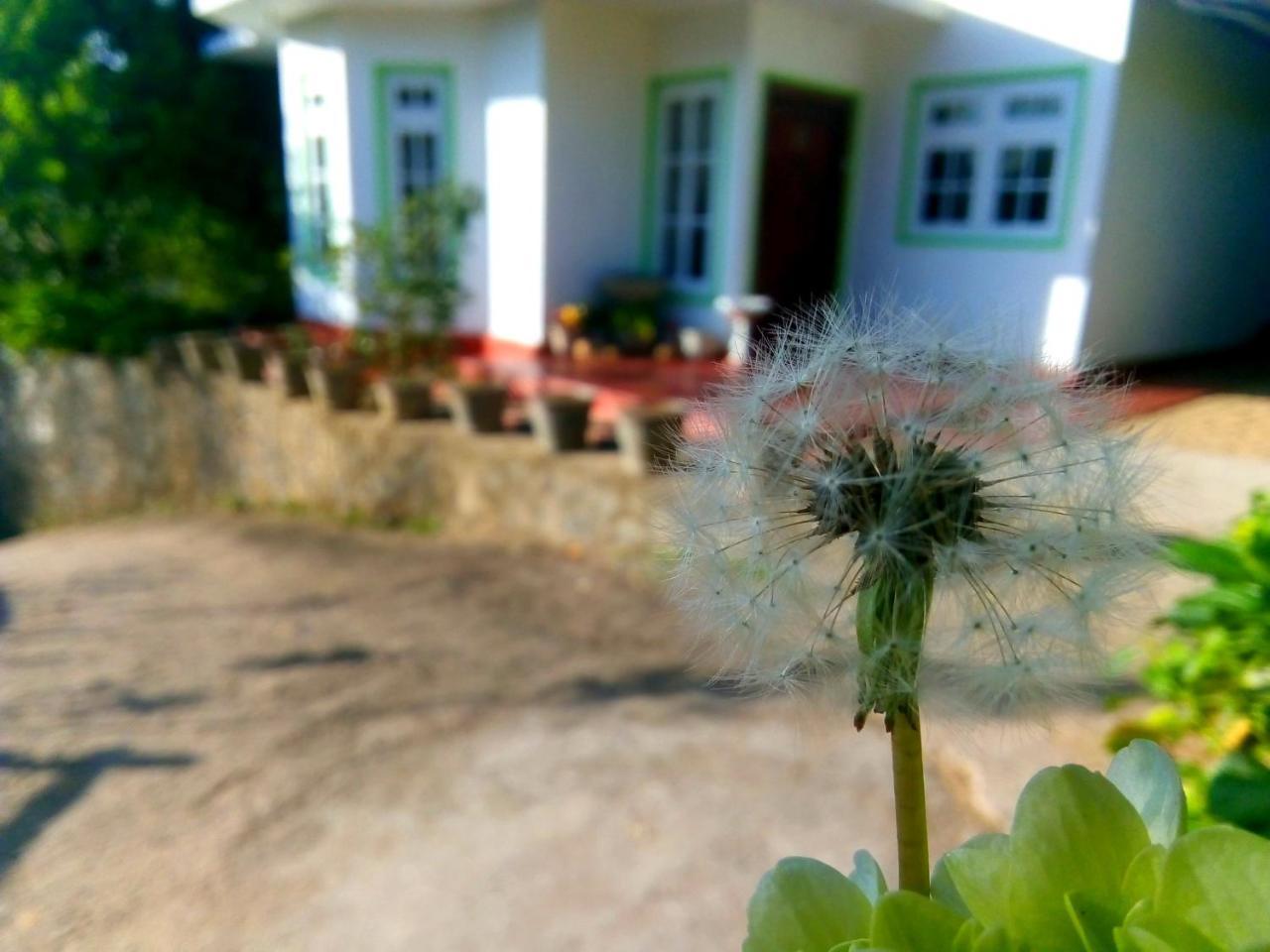 Nuwara Eliya Mountain View Homestay Exterior photo